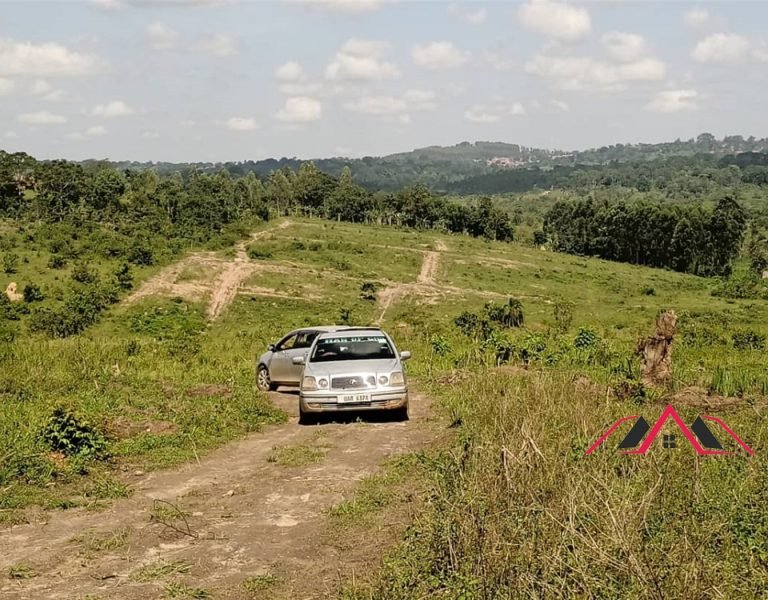 202104030515402225_202104030217282327